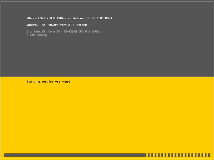 VMWare ESXi 7.03 iso